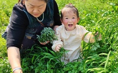 亚洲一卡2卡3卡4卡 高清